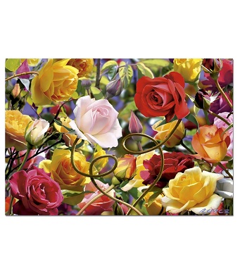 Educa Jigsaw Puzzle - Wild Rose Tango - 500 pieces